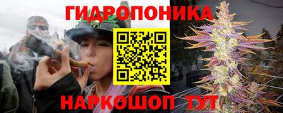 прущий лед Канаш