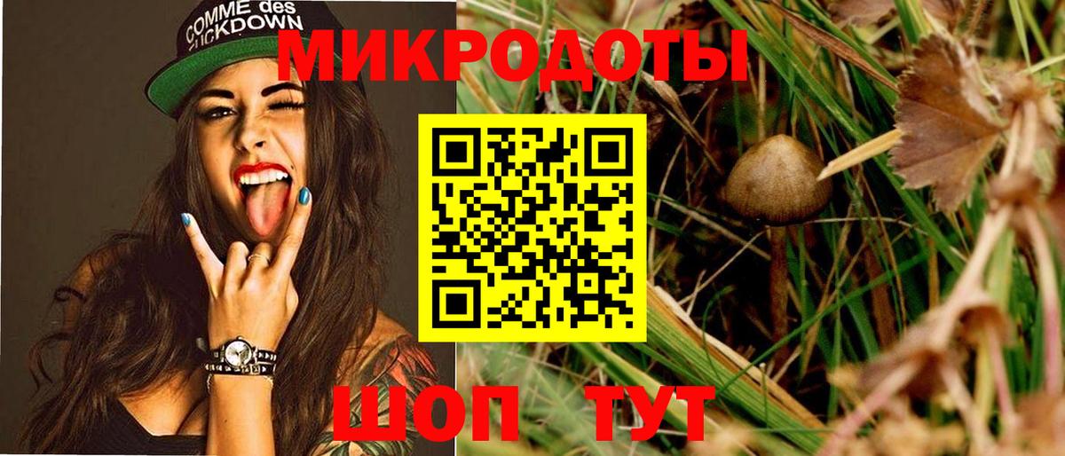 Дальнереченск  Псилоцибиновые грибы мицелий  Вход с VPN 